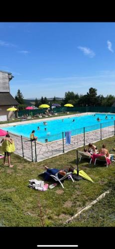 une grande piscine avec des personnes assises sur l'herbe dans l'établissement L'APPARTEMENT DU BONHEUR, à Super-Besse