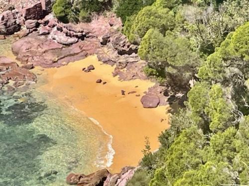 a group of animals standing on a beach next to the water at Number 94 in Eden