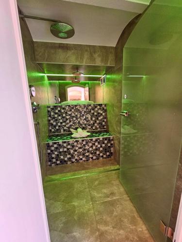 a green bathroom with a shower in a room at Hotelanlage Starick in Lübbenau