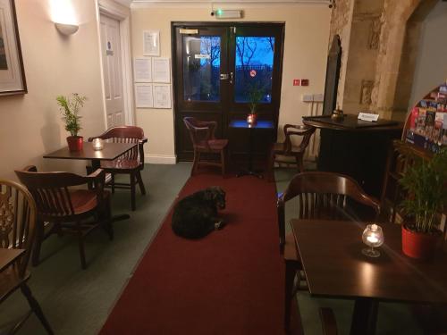 a cat laying on a red rug in a restaurant at Schoolhouse Restaurant and Hotel in Swindon