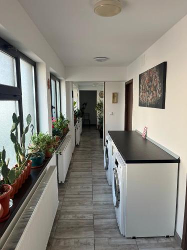 a hallway with two washing machines and potted plants at Solaria Budget Studio in Galaţi
