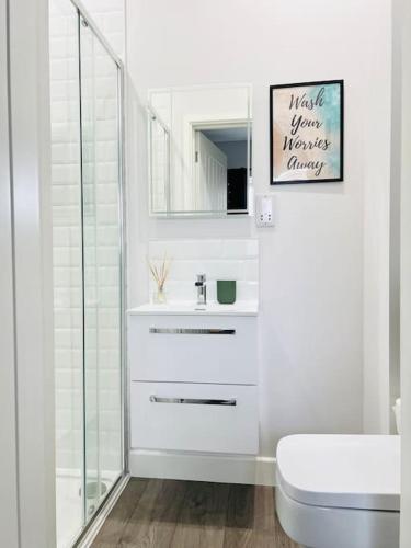 a bathroom with a sink and a toilet and a mirror at Coastal Luxury Home in Margate in Margate