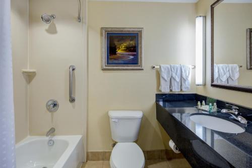 y baño con lavabo, aseo y bañera. en Holiday Inn Augusta West I-20, an IHG Hotel en Augusta