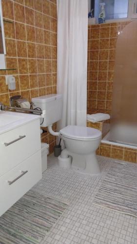 La salle de bains est pourvue de toilettes, d'un lavabo et d'une douche. dans l'établissement Schöne Aussicht, à Todtnau