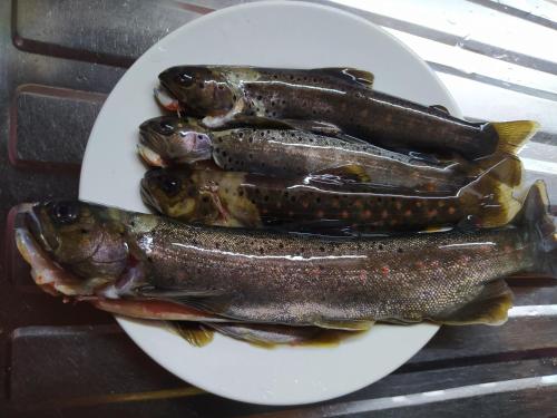 three fish on a white plate on a table at Gujejiani Guest house in Mestia