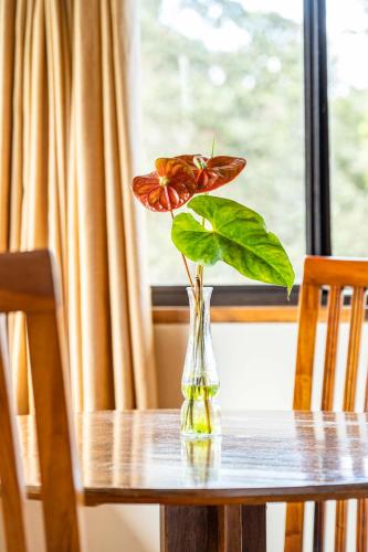 a flower in a glass vase on a table at Volcano Inn Bed n Breakfast in Volcano