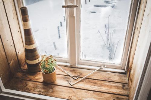 a window with a potted plant on a window sill at Chalupa Hejmovka in Špindlerův Mlýn
