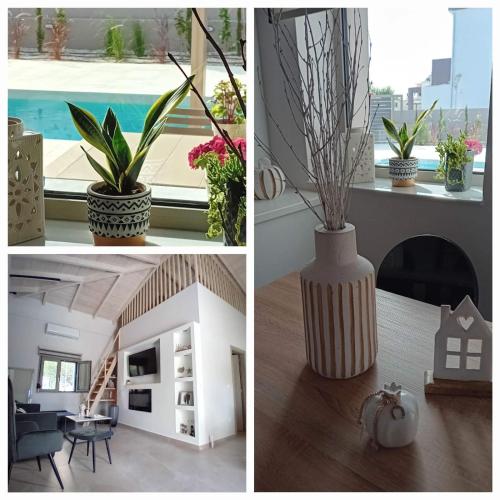 EVAMAR, Premium Living