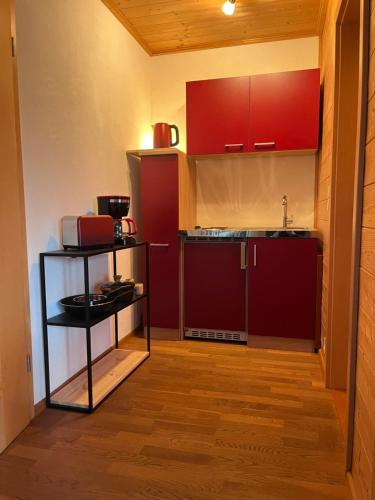 una pequeña cocina con armarios rojos y fregadero en Gartenapartment auf der Höri in Wangen, en Öhningen