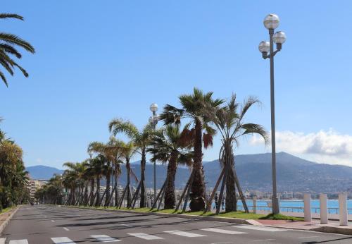 une rue bordée de palmiers dans l'établissement Nestor&Jeeves - PALMA BEACH - Proche Mer, à Nice