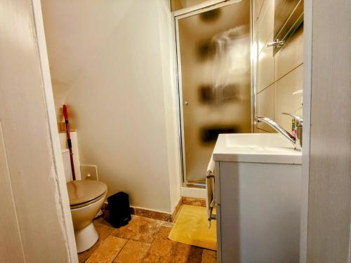 La petite salle de bains est pourvue de toilettes et d'un lavabo. dans l'établissement Home - République - Séjour à Auxerre, à Auxerre