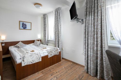 a bedroom with a bed and a tv and a window at Hotel Granit Smrekovica in Liptovská Osada