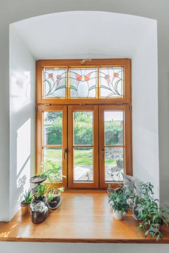 a window with potted plants on a wooden table at Chata w Stołowych in Łęzyce