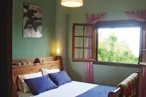 a bedroom with a bed with blue pillows and a window at Apple House in Portariá