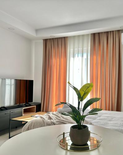 a room with a bed and a plant on a table at Single Room A503 StayInn by Cosmopolis in Ştefăneştii de Jos