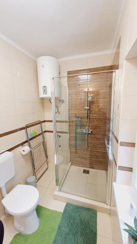 een badkamer met een douche en een toilet bij Borbála Vendégház Igal in Igal