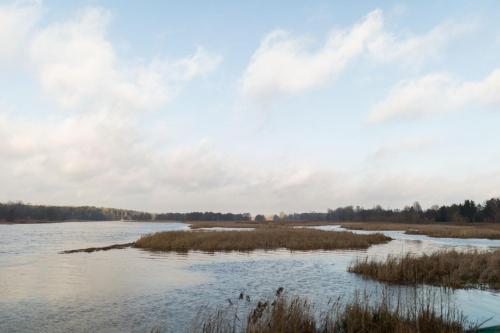 a view of a river with grass in the water at Duża Holenderka - Lewy Brzeg Narwi in Burlaki