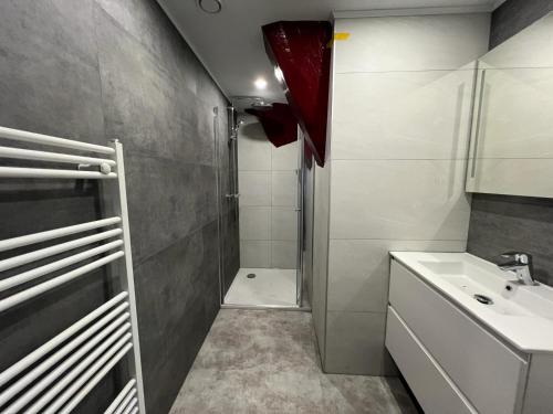 uma pequena casa de banho com um chuveiro e um lavatório. em De Ouwe Meulen em Bleskensgraaf