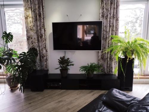 a living room with potted plants and a flat screen tv at Pajūrio Brizo Kotedžas in Klaipėda