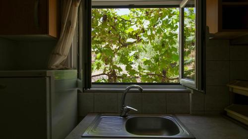 - un évier de cuisine devant une fenêtre avec un arbre dans l'établissement Guest House Suga 1, à Qeparo