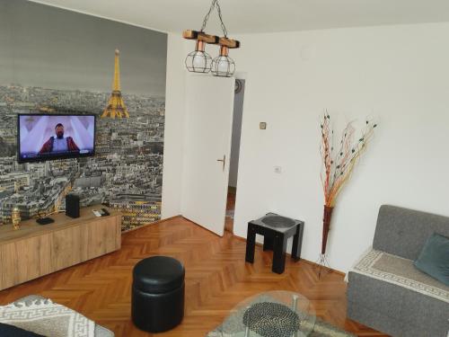 萊斯科瓦茨的住宿－Apartman Petra，客厅配有沙发和墙上的电视