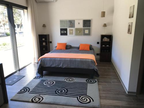 Schlafzimmer mit einem Bett mit orangefarbenen Kissen und einem Teppich in der Unterkunft Les rives du lac in Montauroux