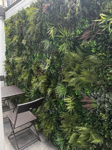 a wall covered in green plants with two benches at 2bed2 bath flat soho in London