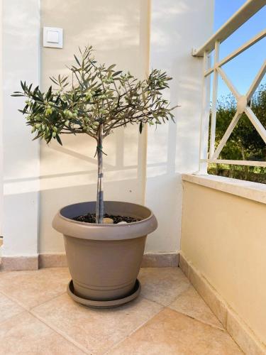 Φωτογραφία από το άλμπουμ του My Corfu Luxury Villa with private pool στο Σιδάρι