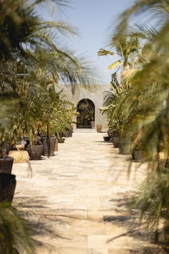 a walkway with palm trees in front of a gate at @before sunset in Cesme