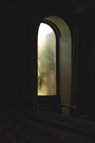a window in a room with a palm tree at @before sunset in Cesme