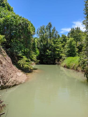 a river with trees on the side of it at La maison d'hôte de la Forêt Retrouvée in Mahajanga