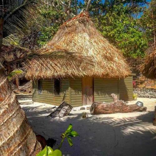 a small hut with a thatch roof and a log at Gold Coast Inn in Nanuya Lailai