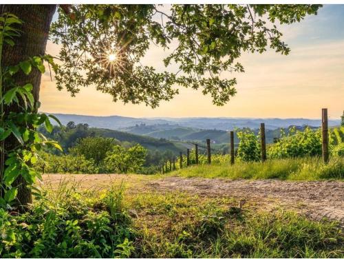 a dirt road with a tree and mountains in the background at La Valle B&B in Asti
