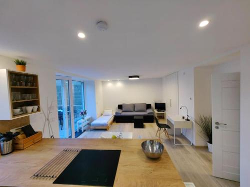 Haas Apartments Slepa, city centre, parking, courtyard في برنو: غرفة معيشة بها أريكة وطاولة