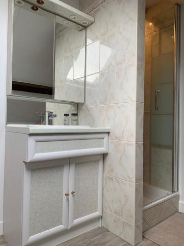 une salle de bain avec un lavabo et une douche dans l'établissement Charmant studio à Ouistreham, à Ouistreham