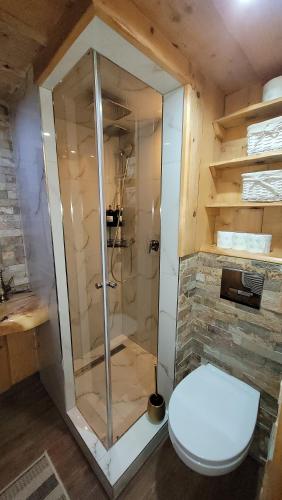 新松奇的住宿－DOMEK NA GÓRACH z GORĄCĄ BALIĄ，浴室配有淋浴和卫生间。