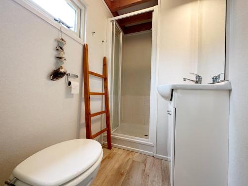 a bathroom with a toilet and a sink at Chalet 560 op Recreatiepark De Wielen in Sint Maarten