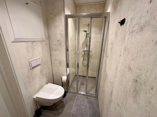 a bathroom with a shower and a toilet at Modern Central Apartment Apt 203 Studio in Stavanger
