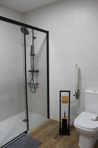 a bathroom with a shower and a toilet at Casa Paula in Segurilla