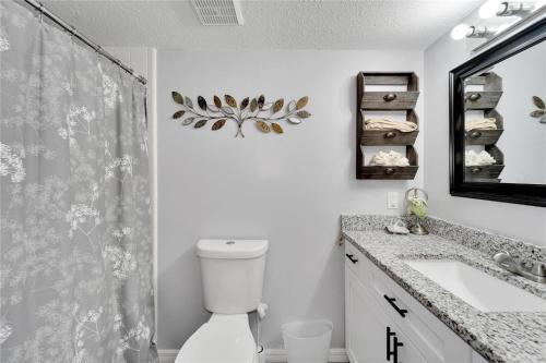 a bathroom with a toilet and a sink and a mirror at Large Guest Rooms in Tampa in Tampa