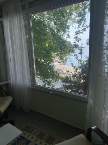 Příroda nedaleko hotelu
