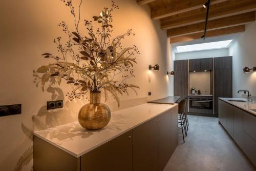 eine Vase mit Blumen auf dem Tresen in der Küche in der Unterkunft Luxe Herenhuis Huis68 in de binnenstad van Zwolle in Zwolle