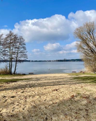 a beach with trees and a body of water at Seepark Wolfswinkel in Storkow
