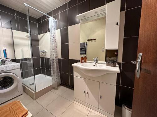 une salle de bain avec un lavabo et une machine à laver dans l'établissement Appt pied des pistes 53m2 -5pers, à La Bresse