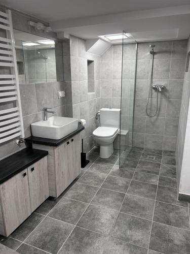 Salle de bains dans l'établissement Economy Apartment - Ustrzycka Rzeszów