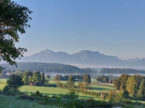 a field with trees and mountains in the distance at Ferienhaus Resch in Laufen