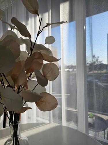 a vase of flowers sitting on a table next to a window at Family apartment in Kretinga