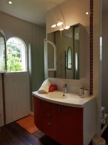 une salle de bain avec un lavabo et un miroir dans l'établissement Villa Lou Penequet, à Saint-Aygulf