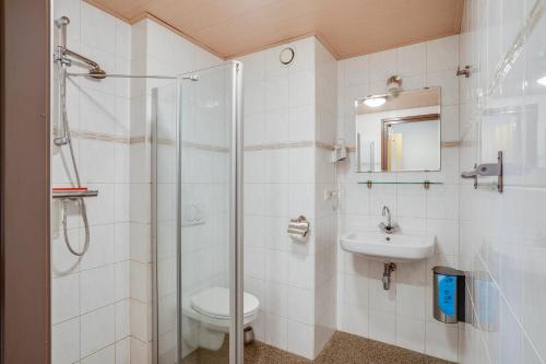 a bathroom with a shower and a toilet and a sink at Hotel Lamperse Hei in Wanroij