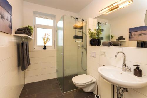 a bathroom with a toilet and a sink and a shower at Villa Marin Wohnung 1 in Zinnowitz